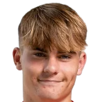 内森·洛维