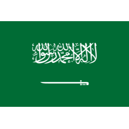 沙特阿拉伯首发阵容